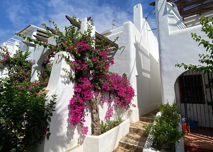 Blanco *
